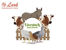 about-livestock-industry-poultry-cattle-aqua