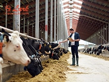 dairy-farming-and-cattle-feed-machines