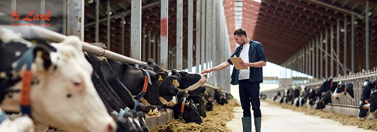 dairy-farming-and-cattle-feed-machines