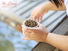 faq-s-floating-fish-feed