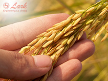 process-loss-raw-material-shrinkage-moisture-loss-in-feed-mills-a-big-challenge